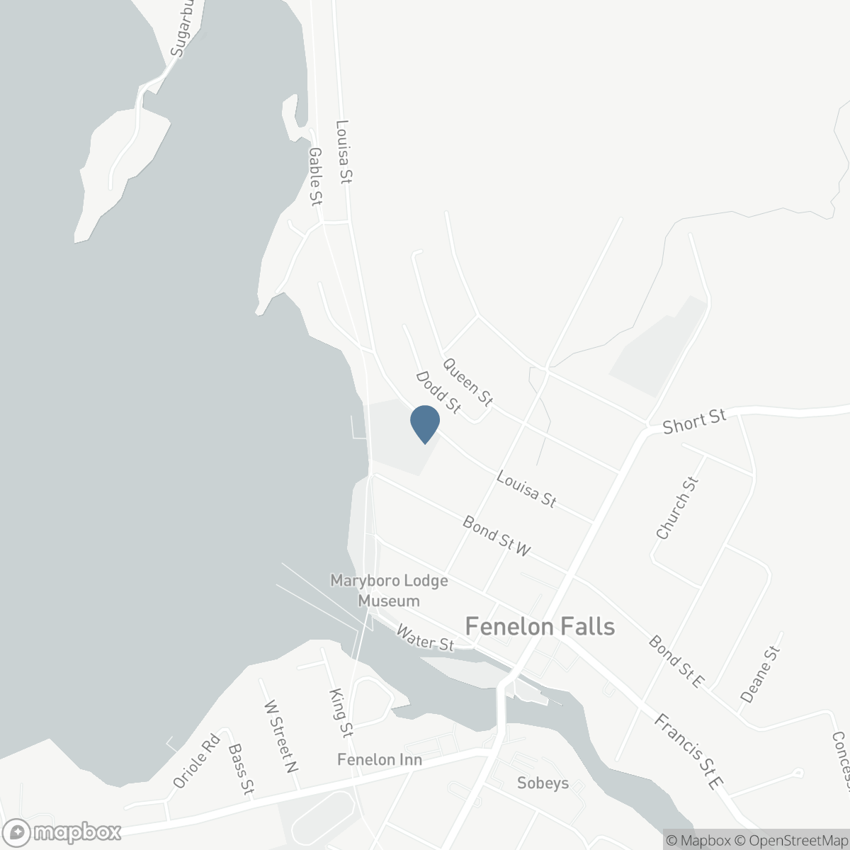 302 - 99 LOUISA STREET, Fenelon Falls, Ontario K0M 1N0
